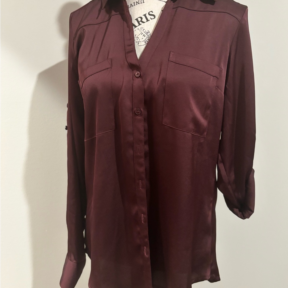 Express Deep Burgundy Women's Skirt